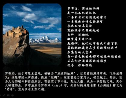 营救小猫头鹰