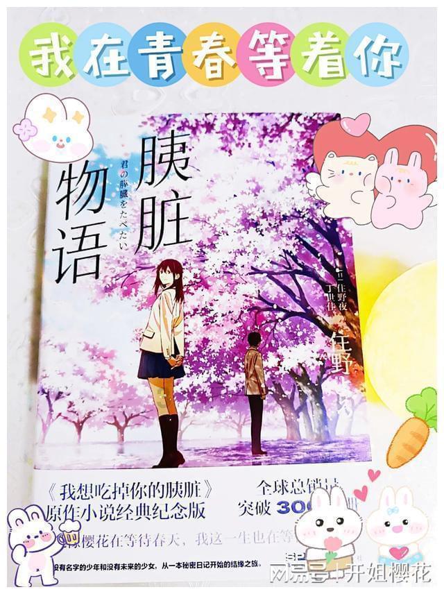 生化危机：浣熊市行动