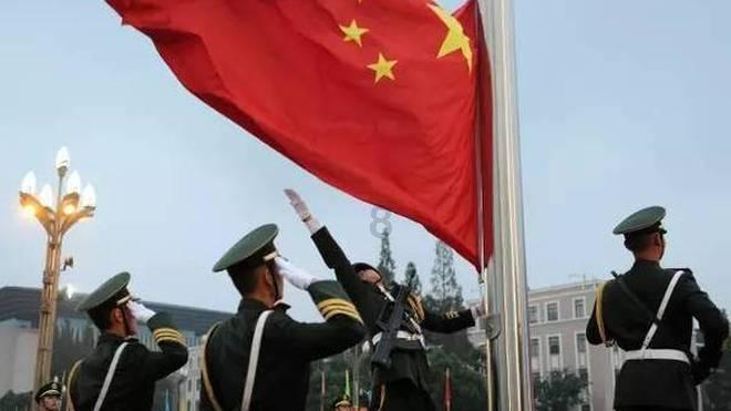 拯救机灵鸟