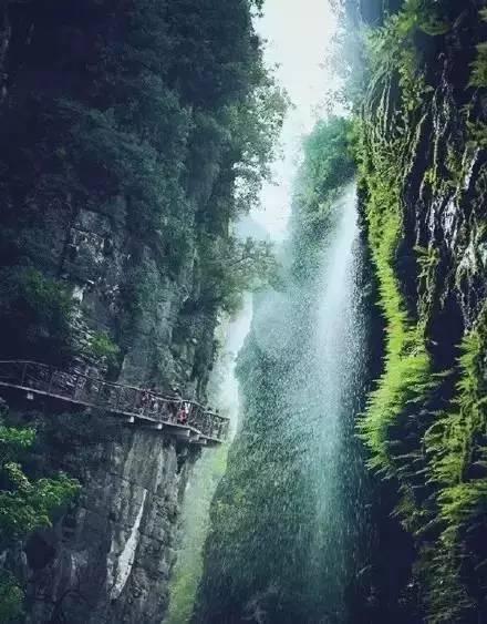 单级双吸清水离心泵轴承损坏管道会震动吗？游戏画面