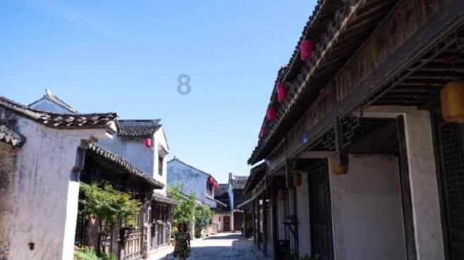 道奇蝰蛇找不同
