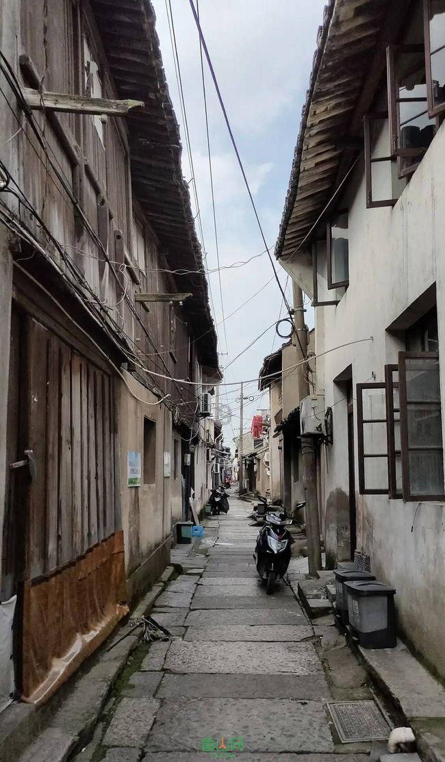救援大嘴鸟